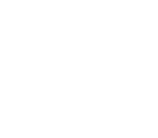 โลโก้ Lotus Mattress